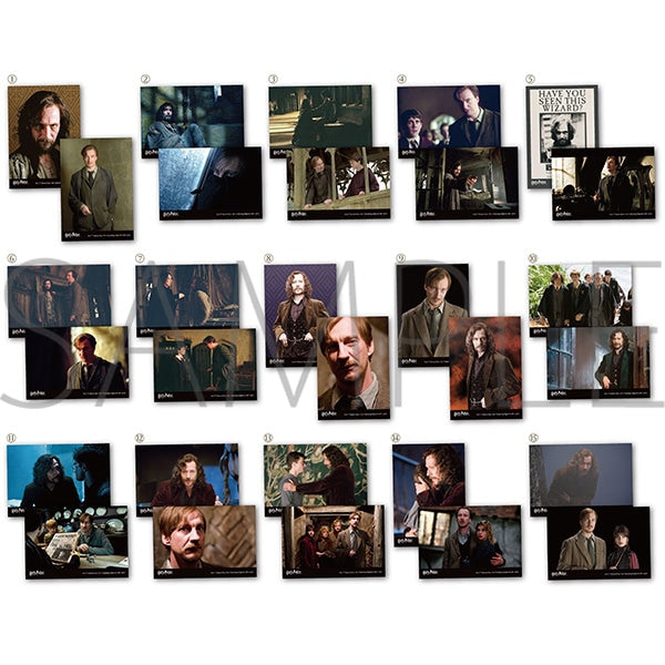Harry Potter Sirius &amp; Lupine Bromide Collection tcs