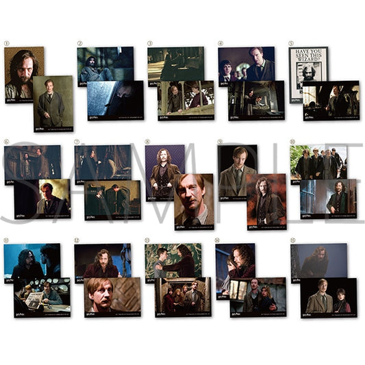 Harry Potter Sirius & Lupine Bromide Collection tcs