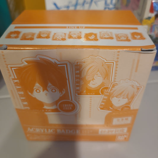 アクリルバッジ 怪物事変 (10個セット) (キャラクターグッズ)tcb acrylic badge as.