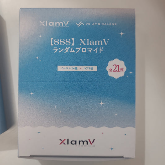 【SSS】XlamV ランダムブロマイド photo card tsc