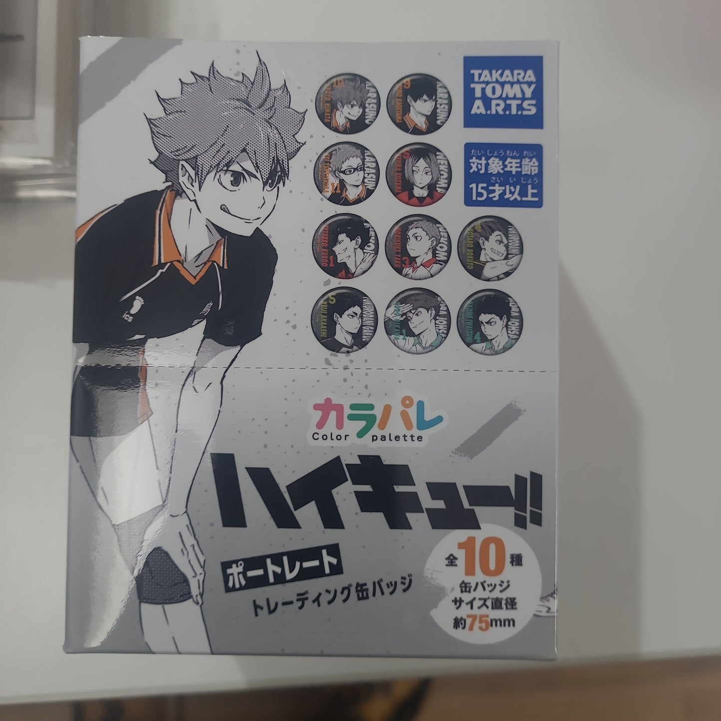 ハイキュー！！ カラパレ ポートレート トレーディング缶バッジ 排球少年tcb