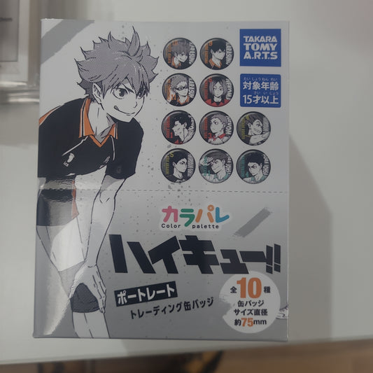 ハイキュー！！ カラパレ ポートレート トレーディング缶バッジ 排球少年tcb