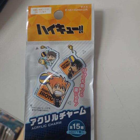 ハイキュー!!アクリルチャーム H/Q