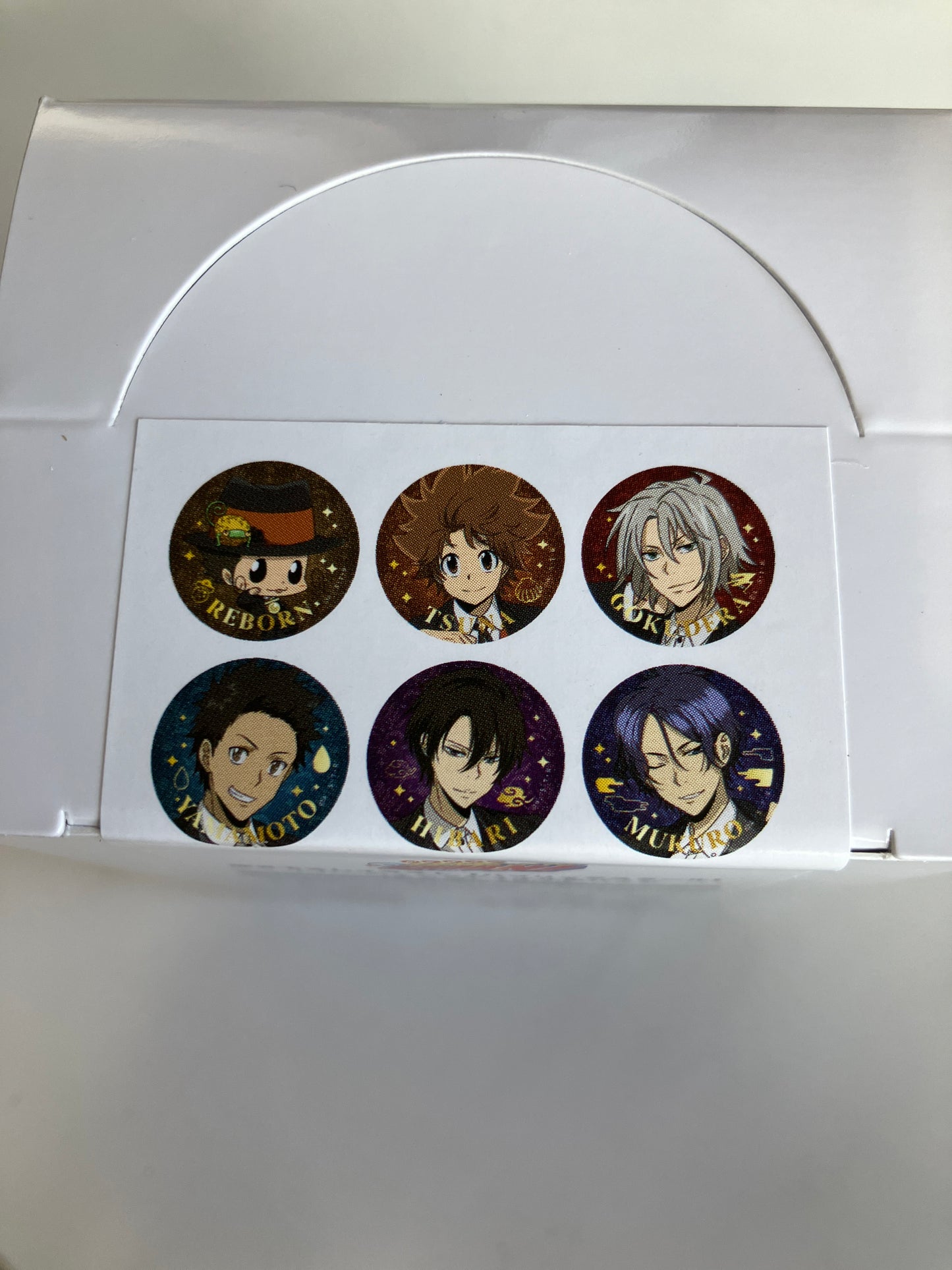 【AniqueShop 限定】『家庭教師ヒットマンREBORN!』描き下ろしイラスト【パブリックスクール】トレーディングジュエル缶バッジ (池袋)