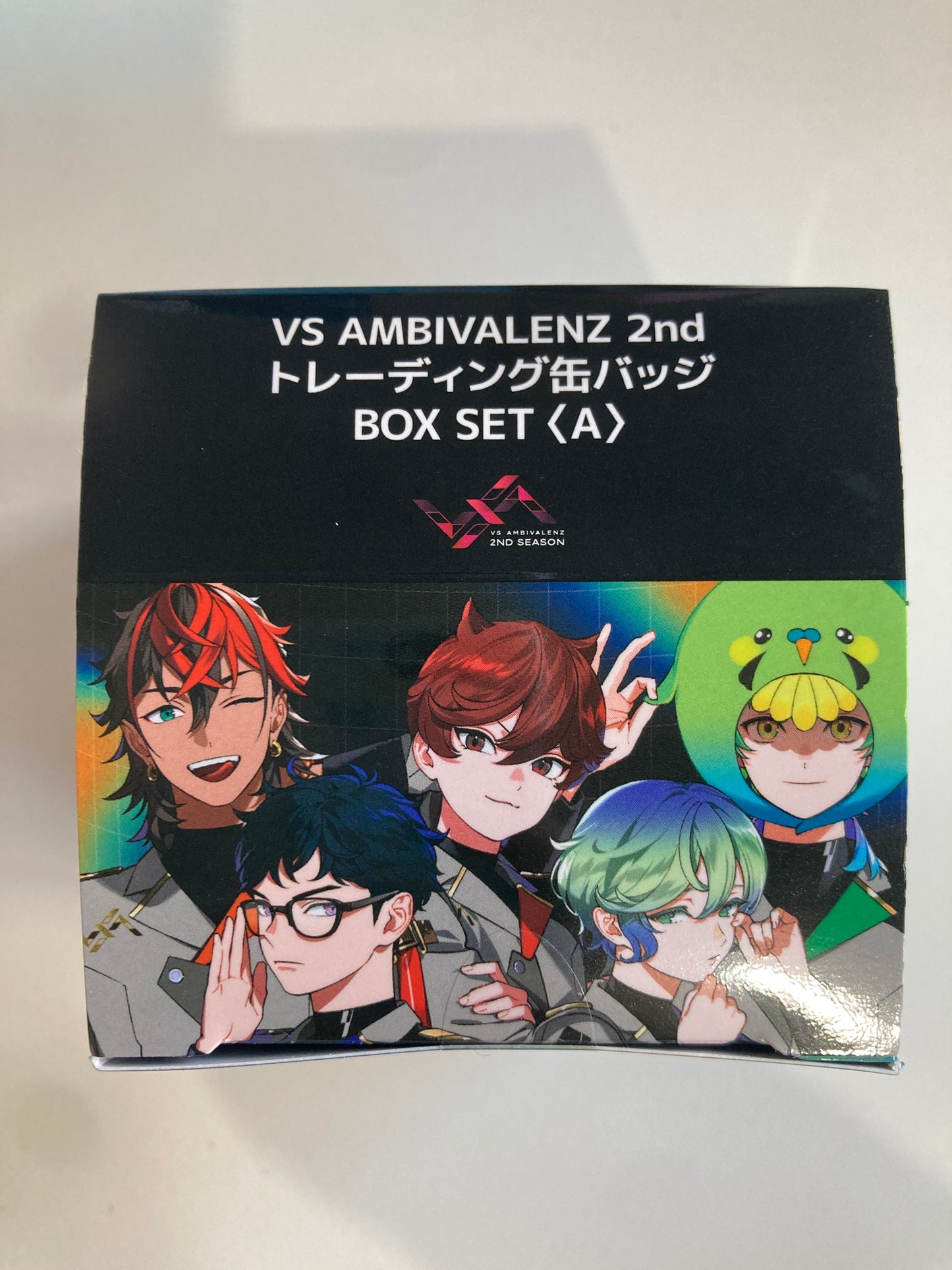 VS AMBIVALENZ 2nd トレーディング缶バッジ（全5種）BOX SET＜A＞(池袋)
