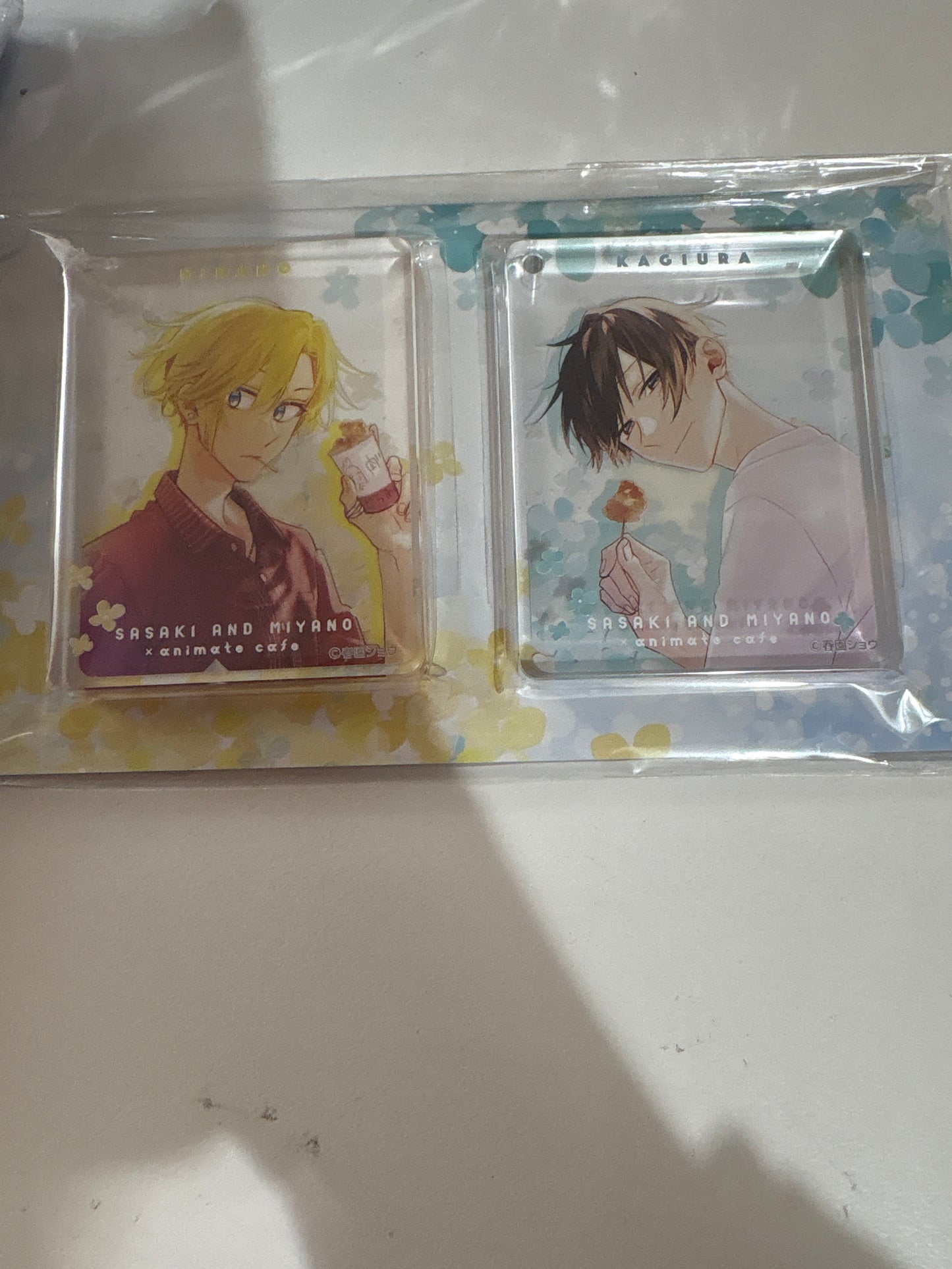 【Animate Cafe】佐々木と宮野 CoLotta(R) セット B(池袋)