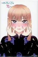 10巻イラスト カバーイラストマグネット 「5th Anniversary その着せ替え人形は恋をする 展覧会」tcs