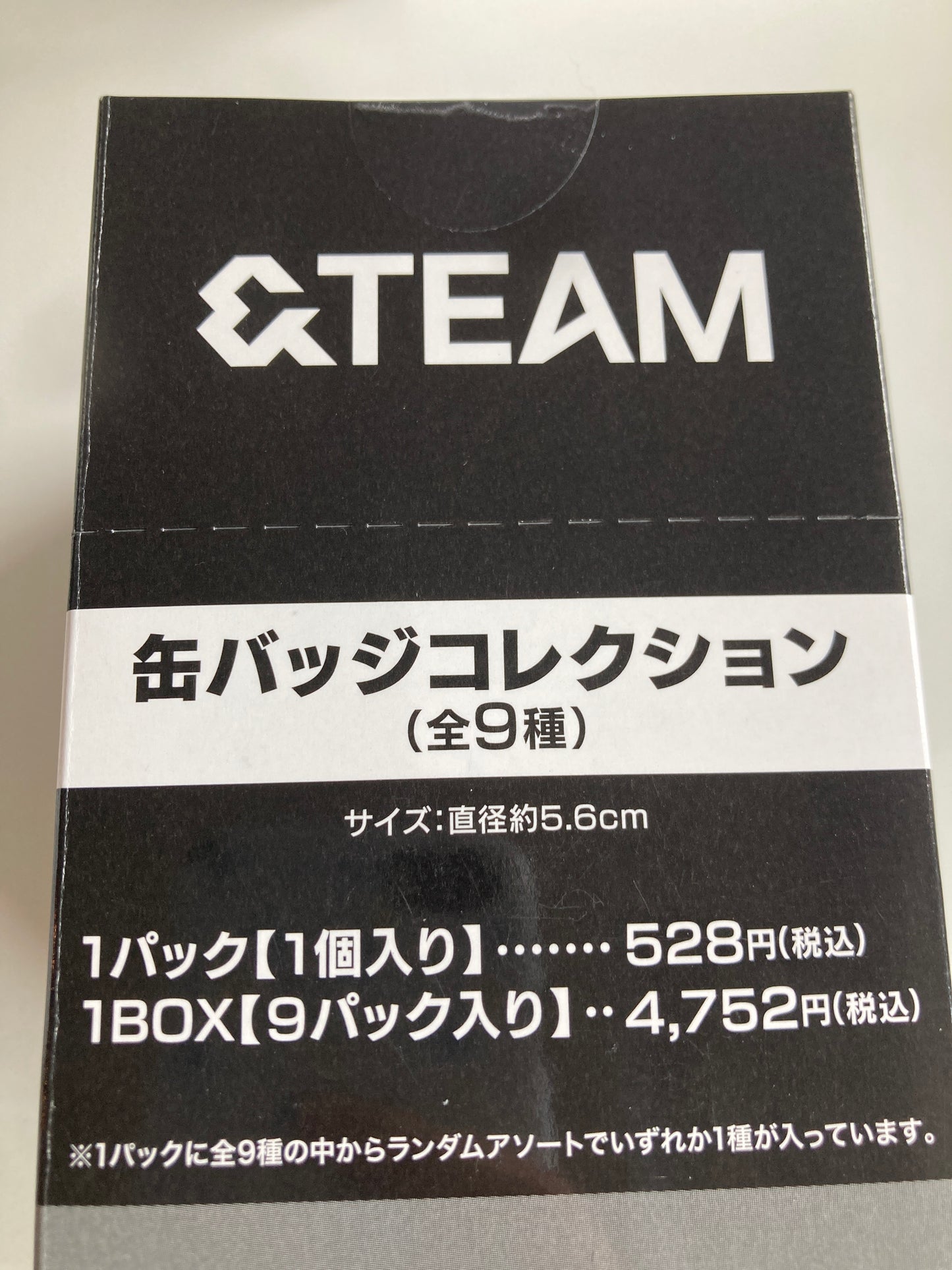 &TEAM　缶バッジコレクション (池袋)