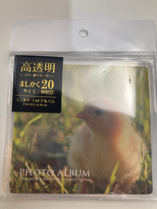 ノンキャラ ミニポケフォトアルバム ましかくサイズ (池袋)
