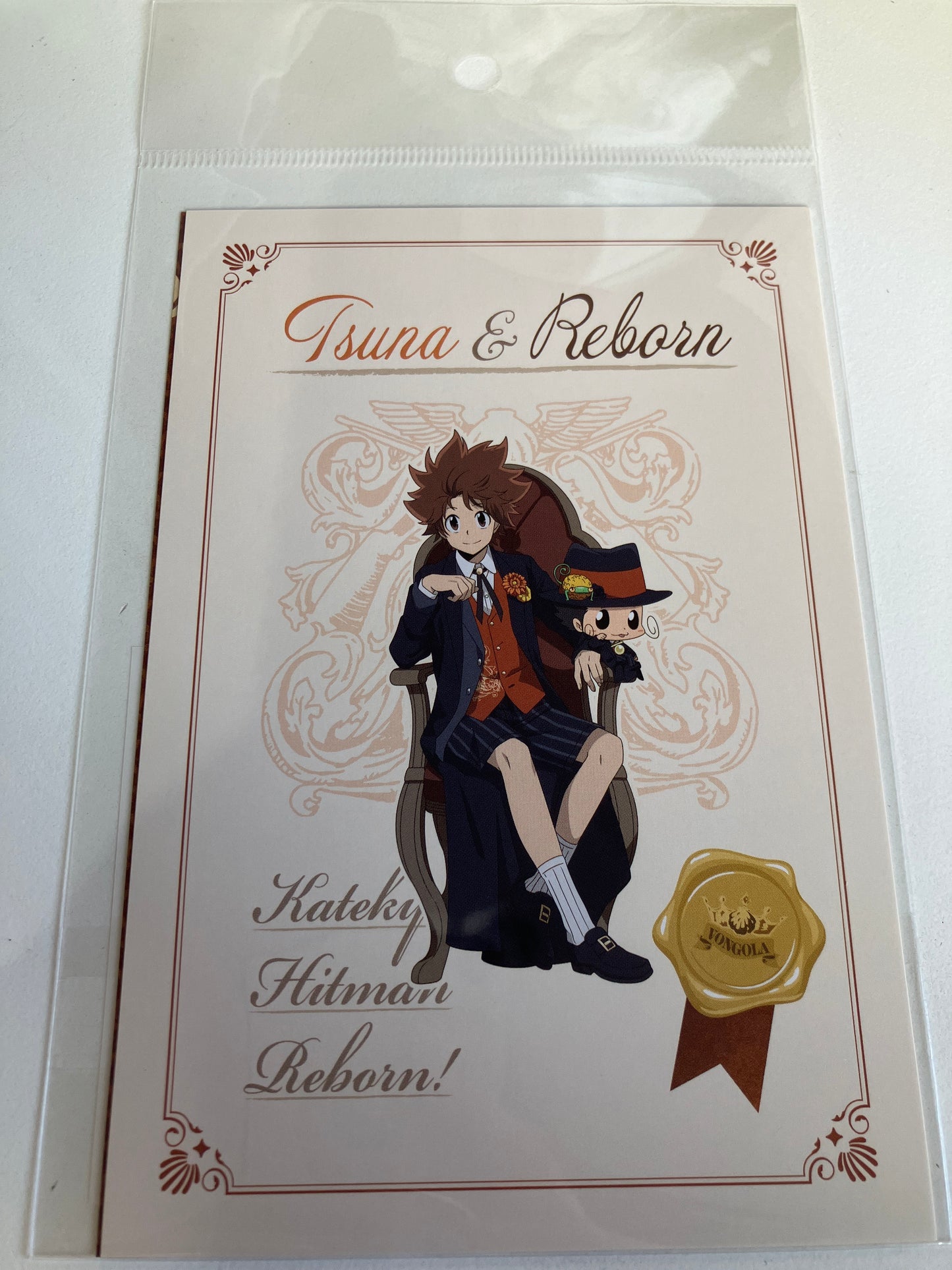 【AniqueShop 限定】『家庭教師ヒットマンREBORN!』描き下ろしイラスト【パブリックスクール】ポストカード2枚セット - リボーン＆沢田綱吉(池袋)
