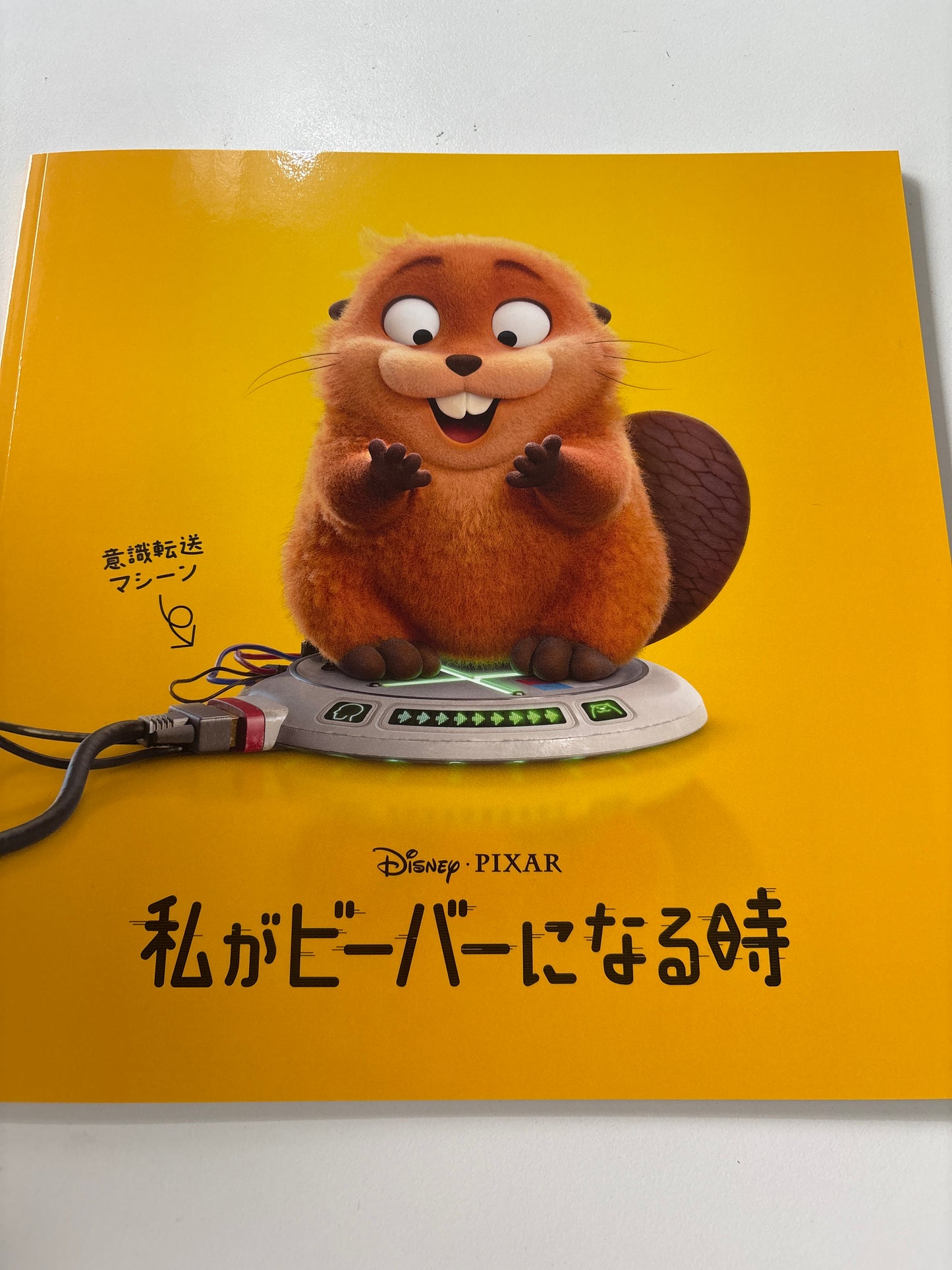 私がビーバーになる時 パンフレット(池袋)