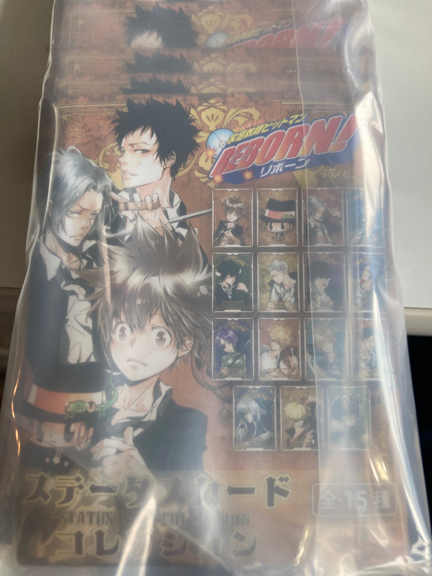 『家庭教師ヒットマンREBORN!』ステータスカードコレクション