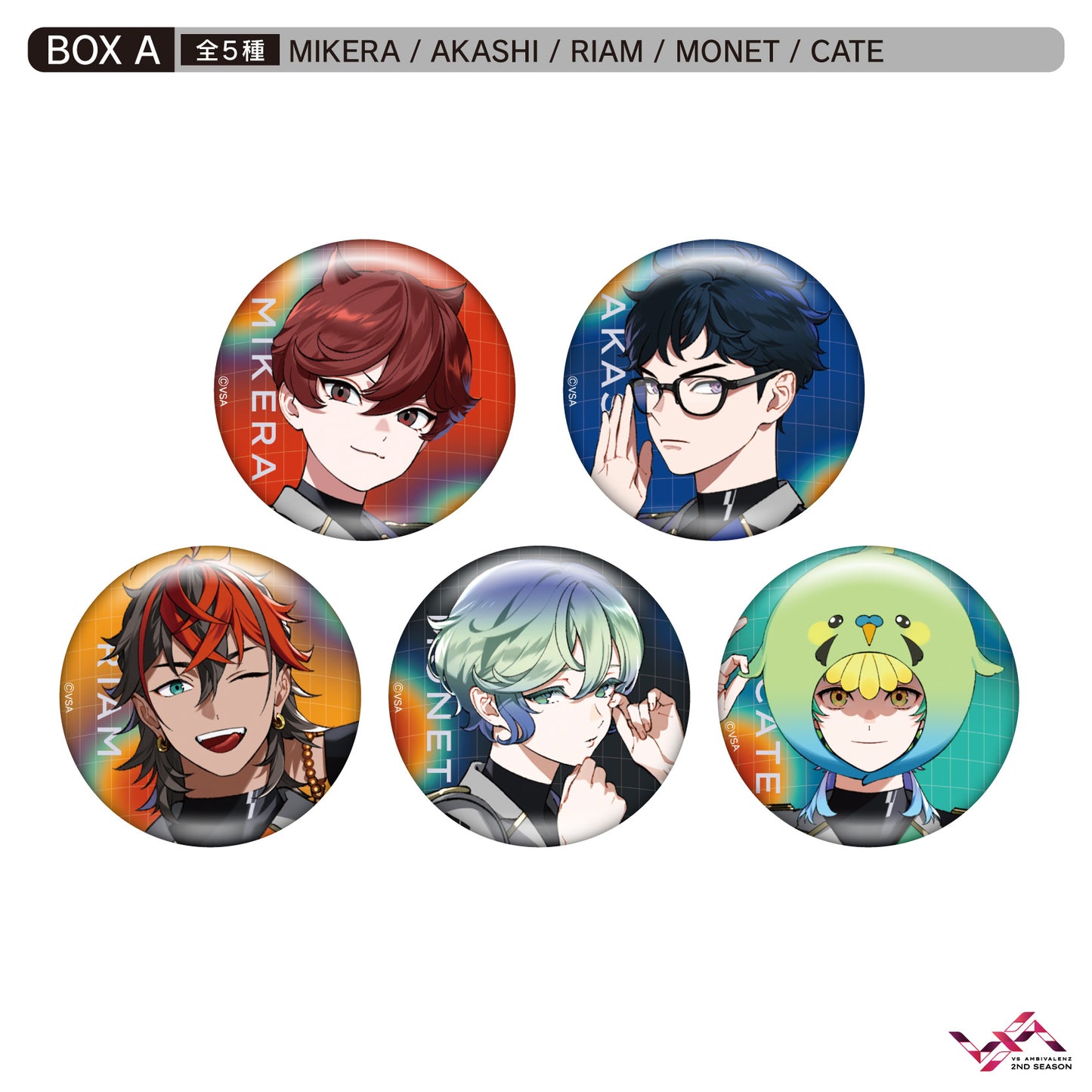 VS AMBIVALENZ 2nd トレーディング缶バッジ（全5種）BOX SET＜A＞(池袋)