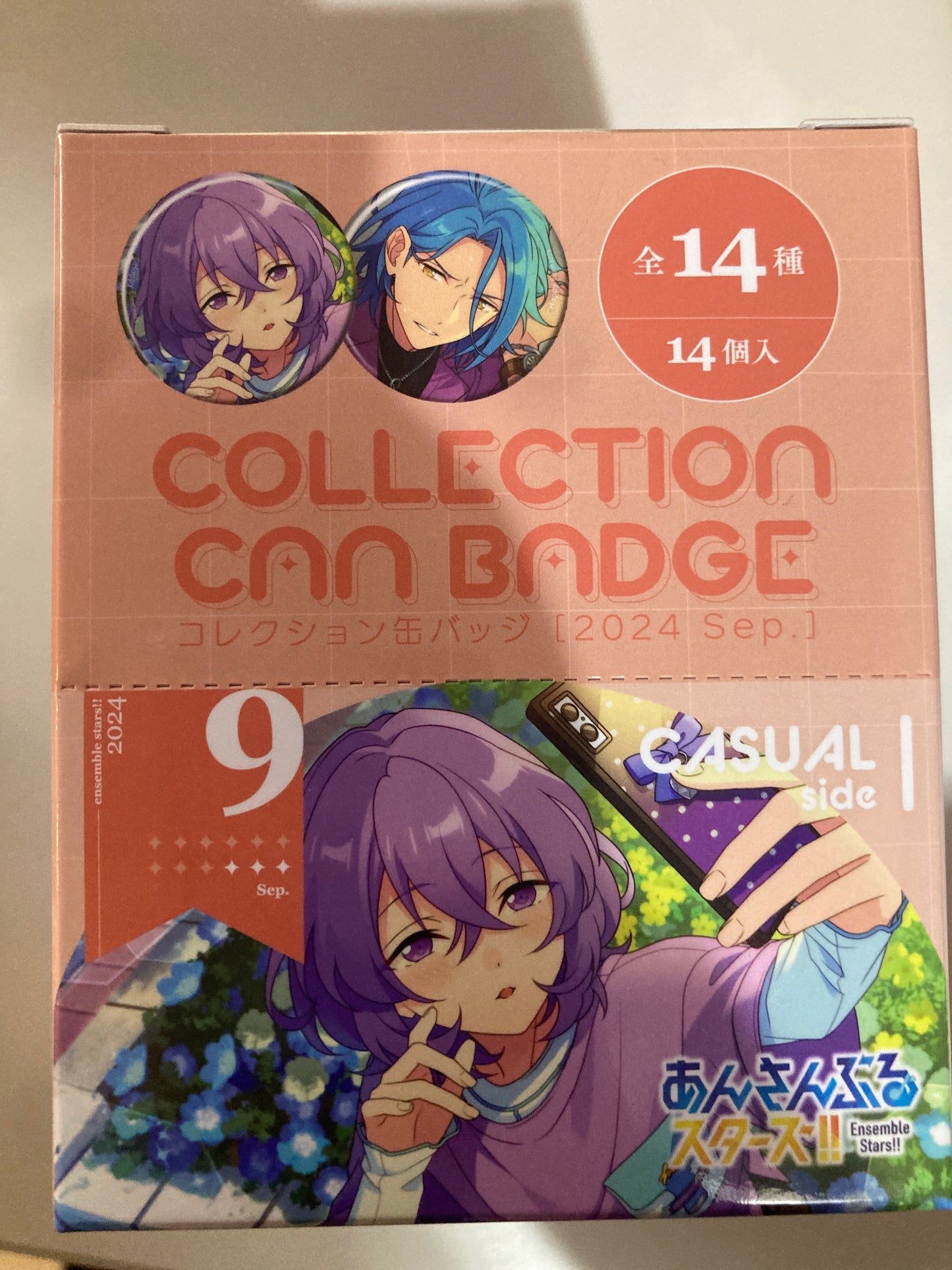 あんさんぶるスターズ！！ コレクション缶バッジ［2024 Sep.］-Casual Side-(池袋)