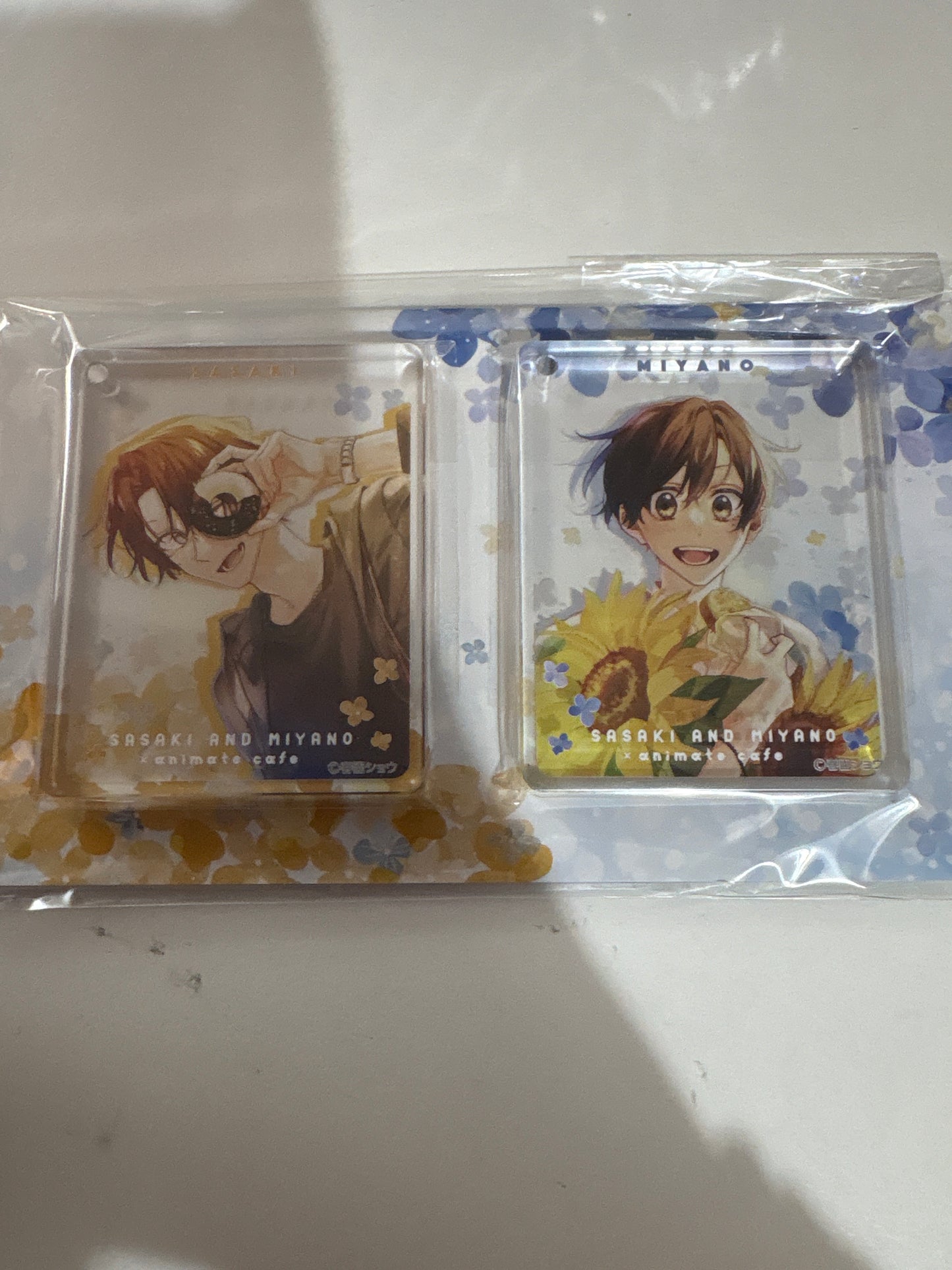 【Animate Cafe】佐々木と宮野 CoLotta(R) セット A(池袋)