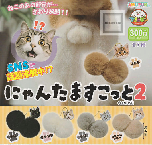 にゃんたますこっと2