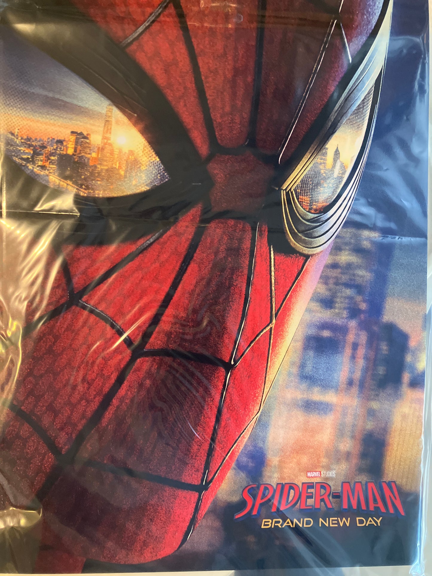 Spider-man Brand New Day