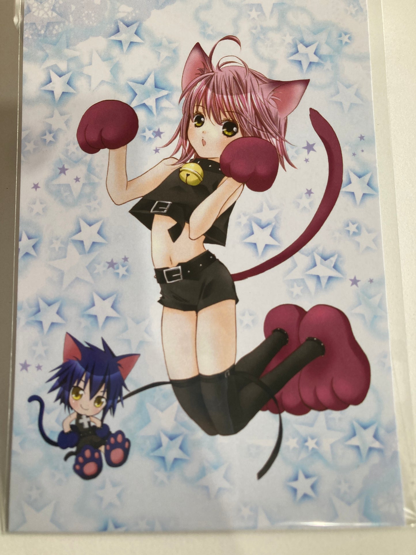 BOX特典:「アミュレットキャット」しゅごキャラ！ ポストカード(池袋).