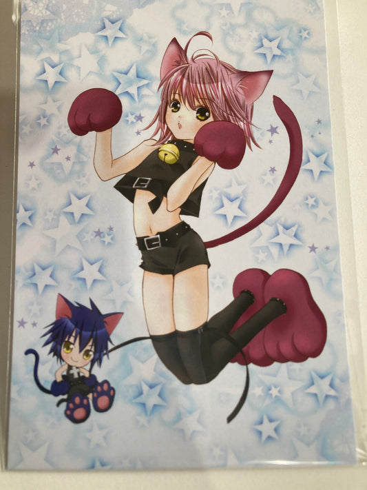 BOX特典:「アミュレットキャット」しゅごキャラ！ ポストカード(池袋).