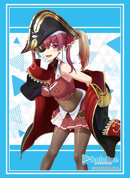 sleeve HG ﾎﾛﾗｲﾌﾞﾌﾟﾛﾀﾞｸｼｮﾝ 2023ver. Vol.4037 vtuber (Bushi-road)
