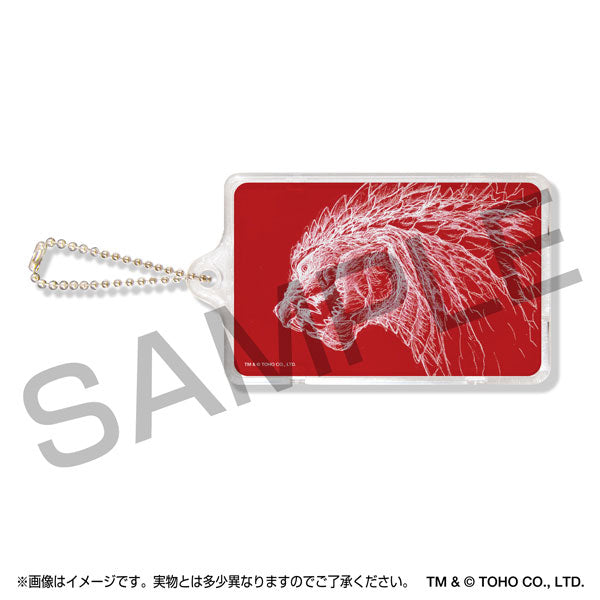 Godzilla SP〈Singular Point〉PIICA+Pass Case