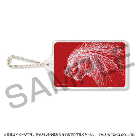 Godzilla SP〈Singular Point〉PIICA+Pass Case