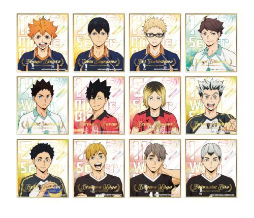 アニメ「ハイキュー!!」ビジュアル色paperコレクション7