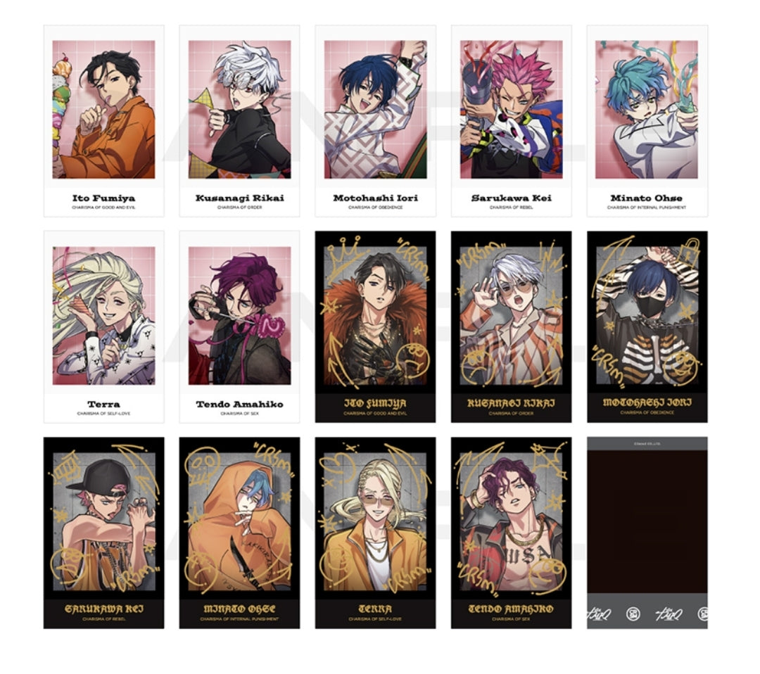 カリスマ トレーディングチェキ風カード vol.2（全14種）card tcs