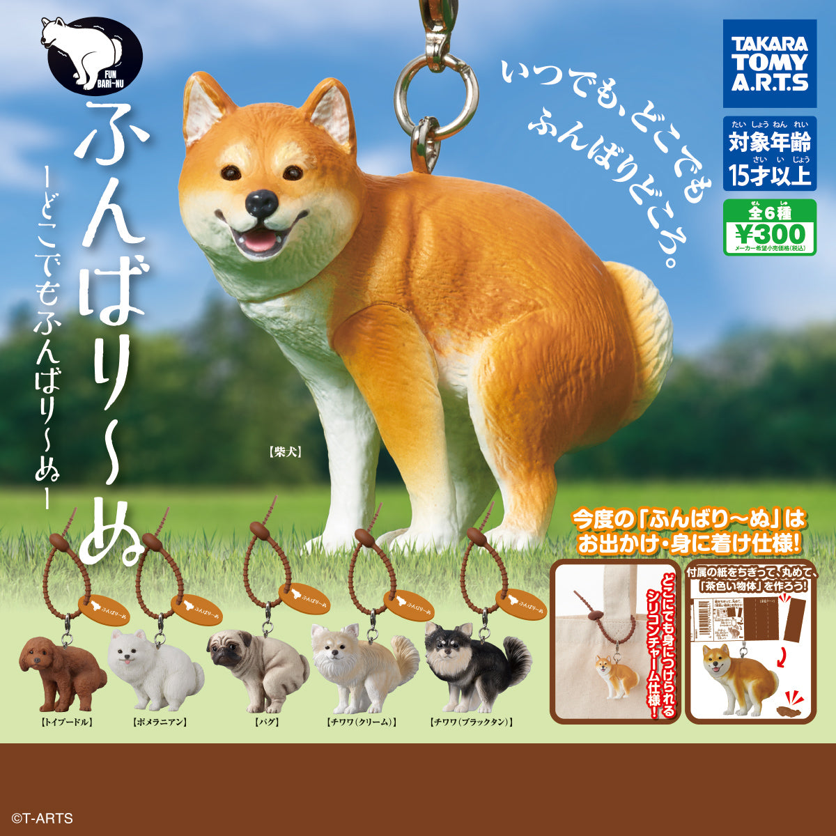 ふんばり～ぬ -どこでもふんばり～ぬ- (IKE)