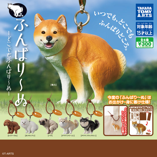 ふんばり～ぬ -どこでもふんばり～ぬ- (IKE)