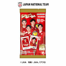 キャラポトレ バレーボール男子日本代表