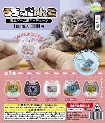 (funbox) capsule うちのにゃんこ育成ゲーム風キーチェーン