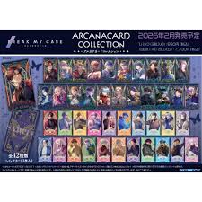 (EN-SKY) ブレイクマイケース アルカナカードコレクション