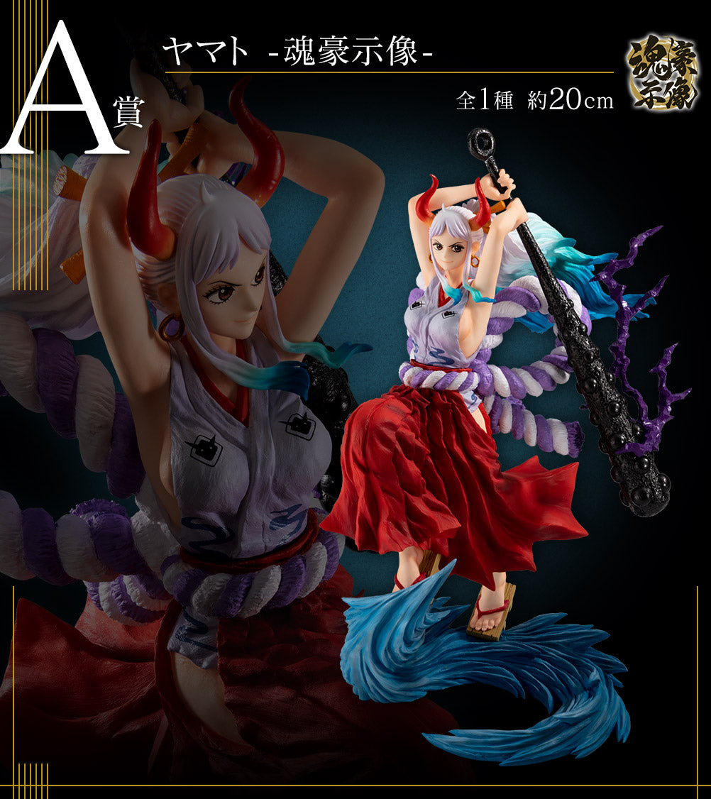 一番 ichiban Kuji ワンピース EX ONE PIECE GIRL'S COLLECTION 覇ノ煌 A賞
