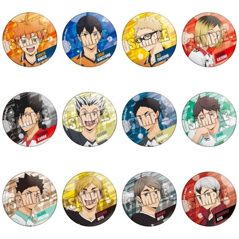 (TakaraTomyArts) カラパレ ハイキュー!!  スクールオブジェ 缶バッジ