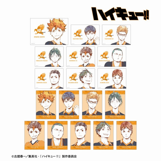 (ｱﾙﾏﾋﾞｱﾝｶ) ﾊｲｷｭｰ!! ﾄﾚｰﾃﾞｨﾝｸﾞ Ani-Art 第1弾 ブロマイド ver.A
