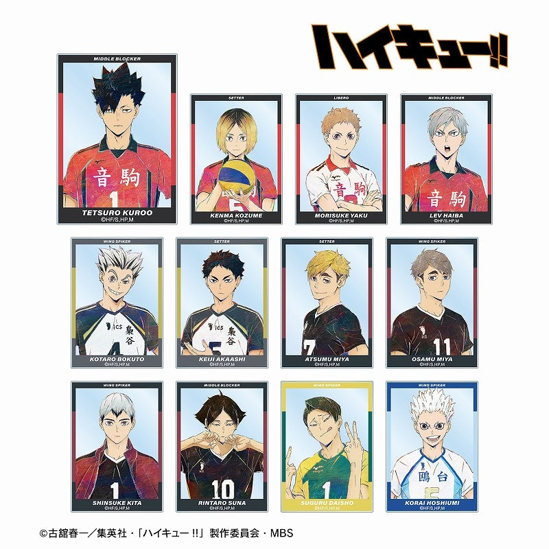 (ｱﾙﾏﾋﾞｱﾝv) ﾊｲｷｭｰ!! ﾄﾚｰﾃﾞHﾝｸﾞAni-Art No. 6徾ｱｸﾘﾙVｰﾄﾞacrylic card