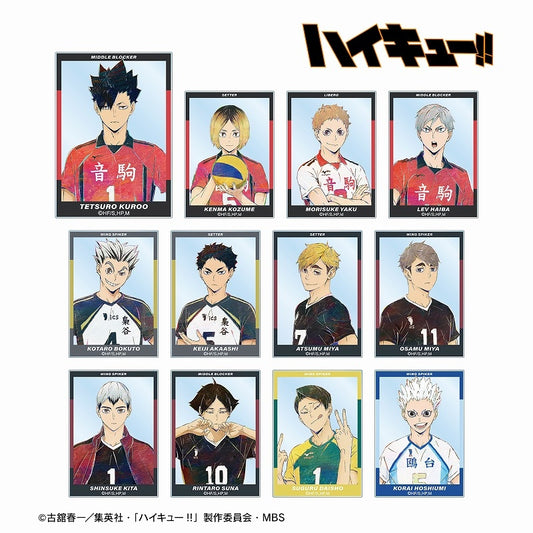 (ｱﾙﾏﾋﾞｱﾝｶ) ﾊｲｷｭｰ!! ﾄﾚｰﾃﾞｨﾝｸﾞ Ani-Art 第6弾 ｱｸﾘﾙｶｰﾄﾞ acrylic card