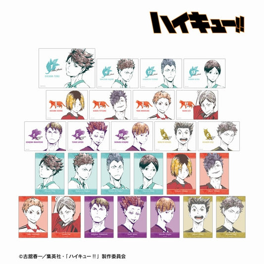 (ｱﾙﾏﾋﾞｱﾝｶ) ﾊｲｷｭｰ!! ﾄﾚｰﾃﾞｨﾝｸﾞ Ani-Art 第1弾 ブロマイド ver.B
