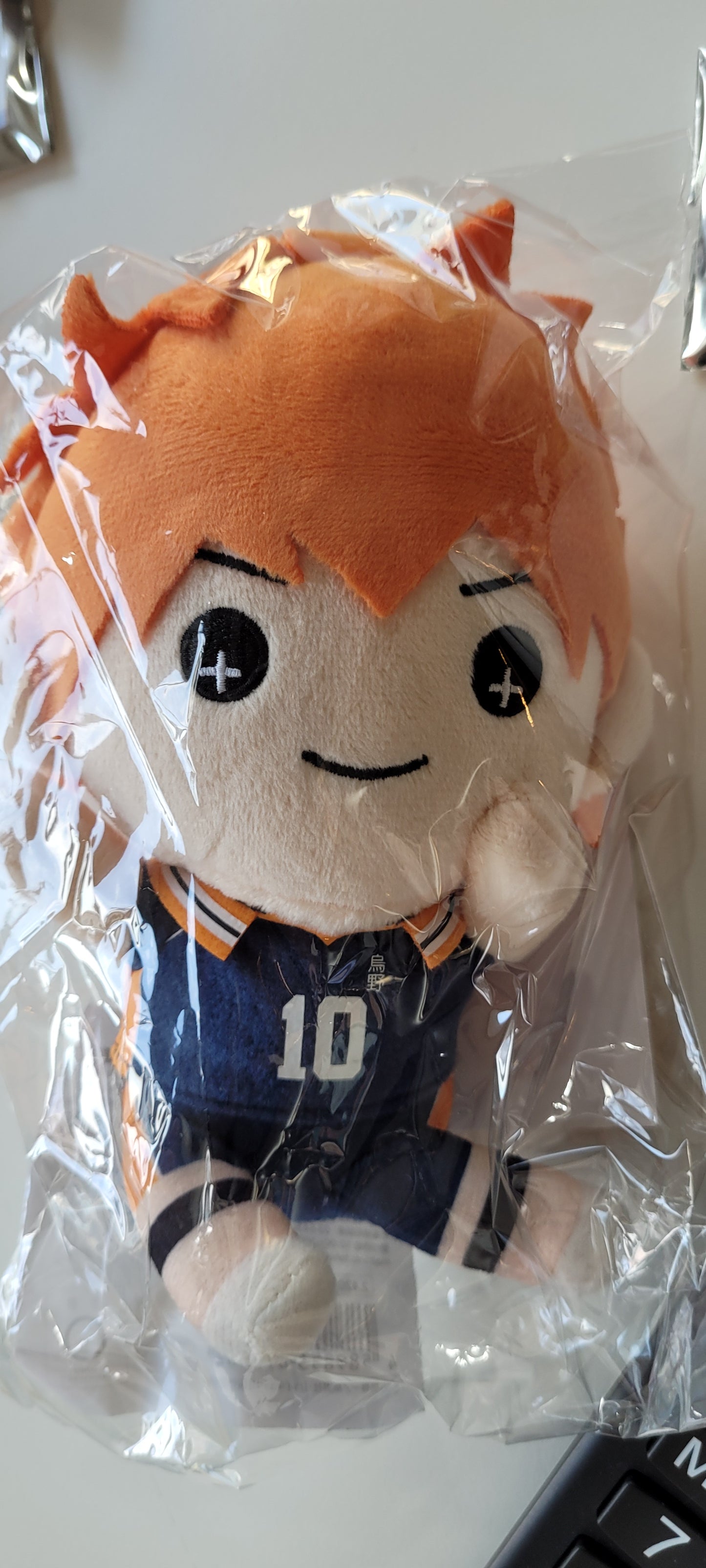 ハイキュー!!たすっこ ぬいぐるみ 日向翔陽 plush