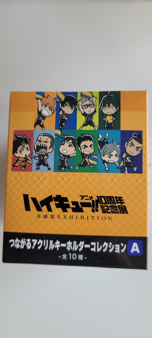 ハイキュー!!アニメ10周年記念展 全感覚EXHIBITION つながるアクリルキーホルダーコレクションA tcs kc.
