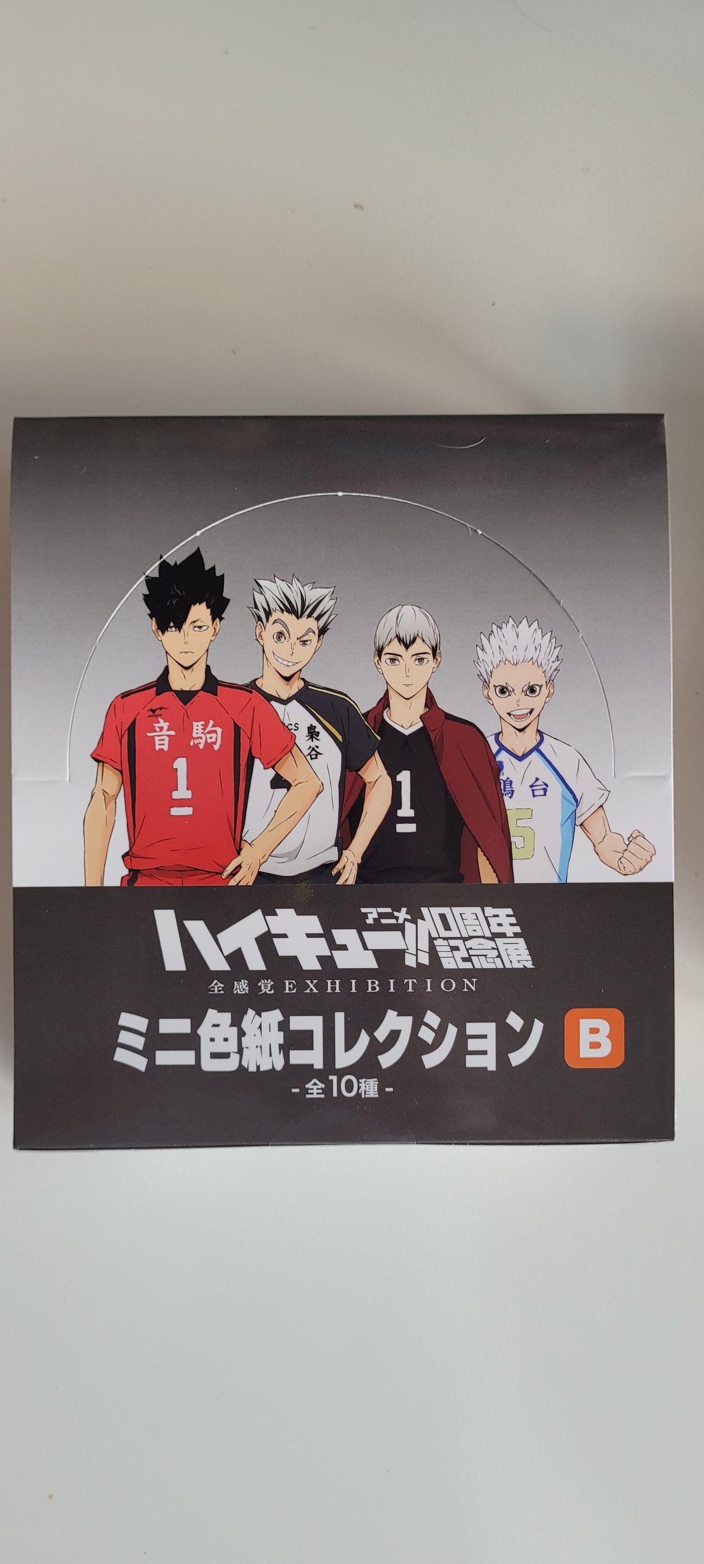 ハイキュー!!アニメ10周年記念展 全感覚EXHIBITION ミニ色紙コレクションB tcs