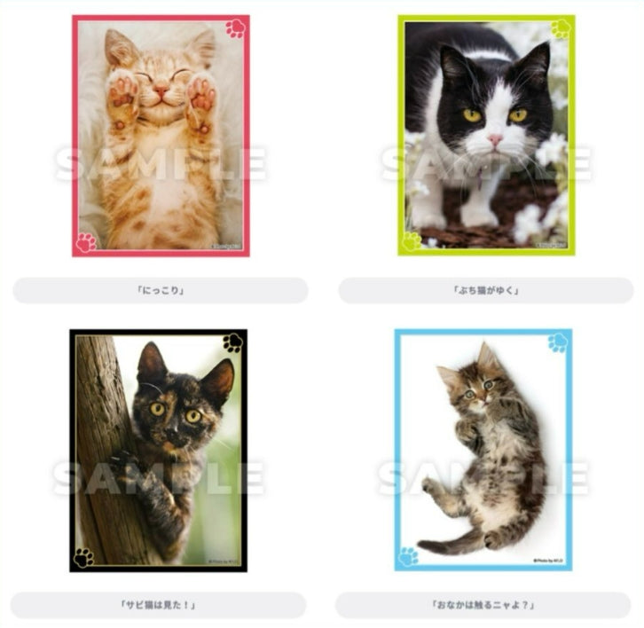 E賞 (Broccoli) ブロッコリートレカアイテムくじEX「猫これくしょん」