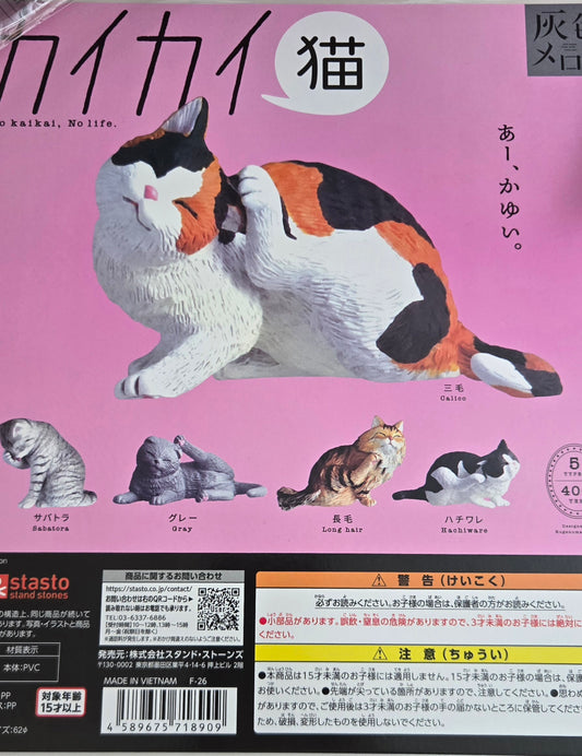 扭旦 #247 カイカイ猫 扭蛋猫1set5隻