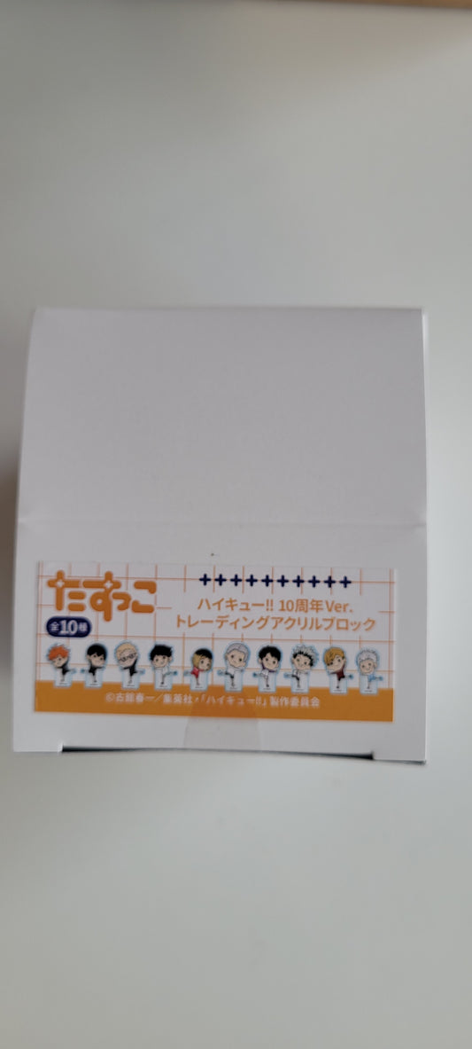 ハイキュー!!10周年ver. たすっこ トレーディングアクリルブロック排球event as.