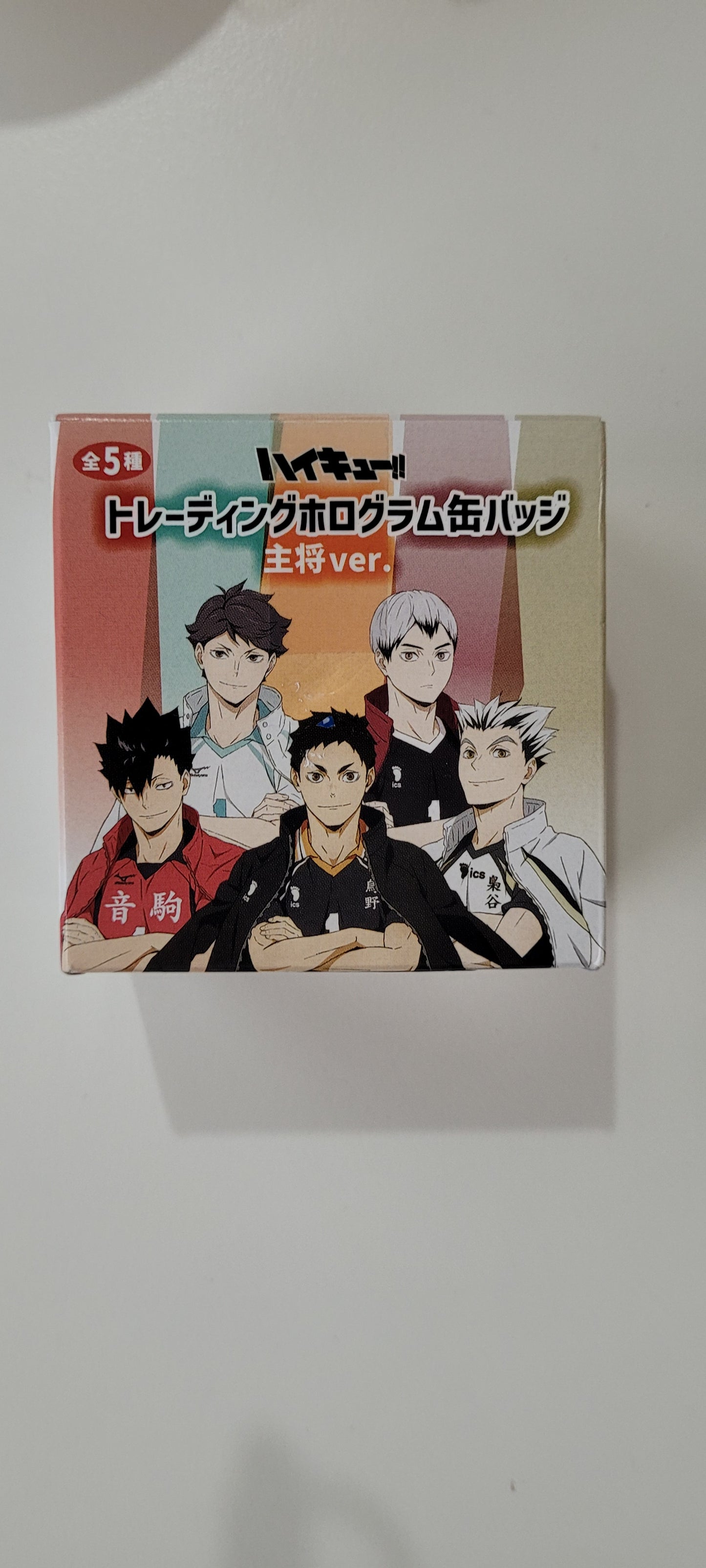 ハイキュー!! トレーディングホログラム缶バッジ 主将ver.tcb