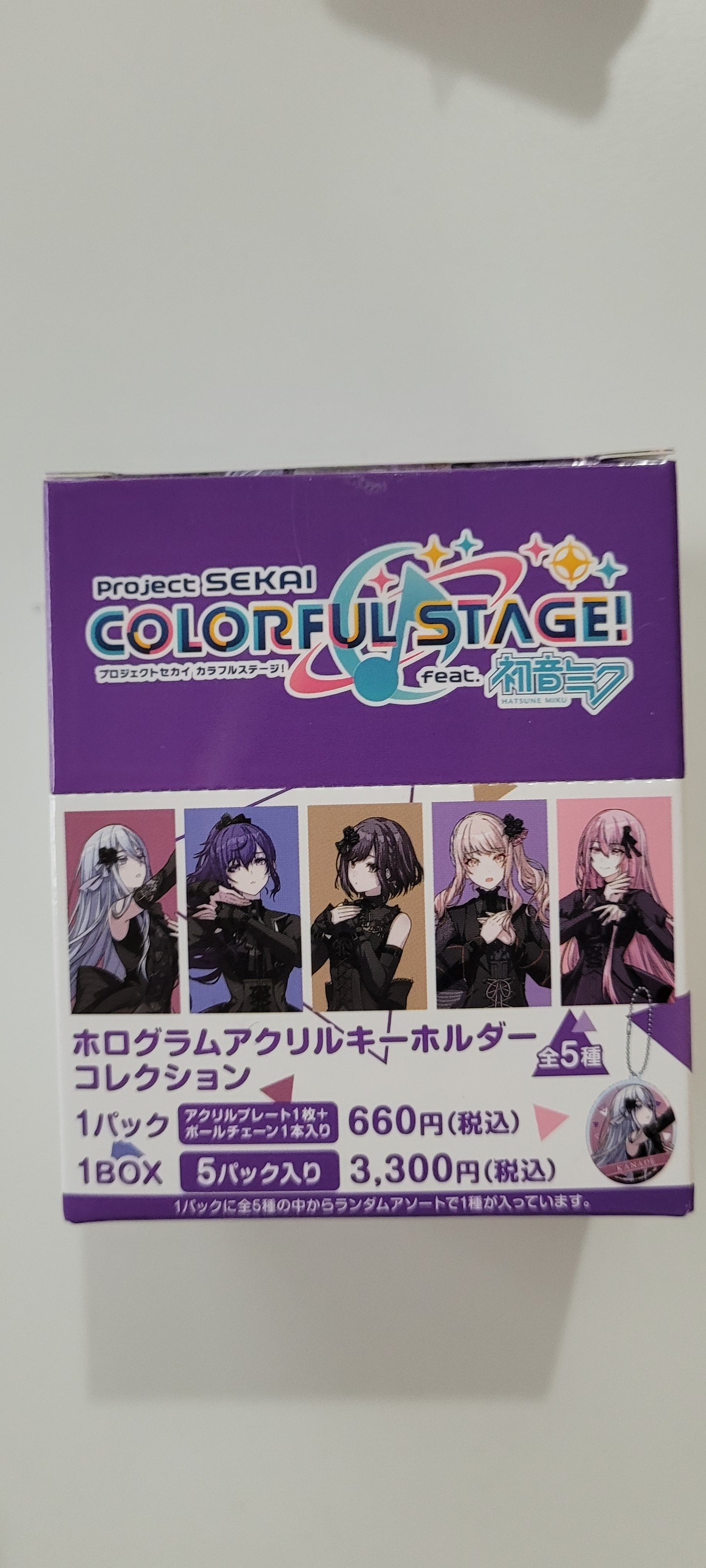 プロジェクトセカイ カラフルステージ！ feat. 初音ミク　ホログラムアクリルキーホルダーコレクション(2024オンリーショップイラスト)／25時、ナイトコードで。 tcb