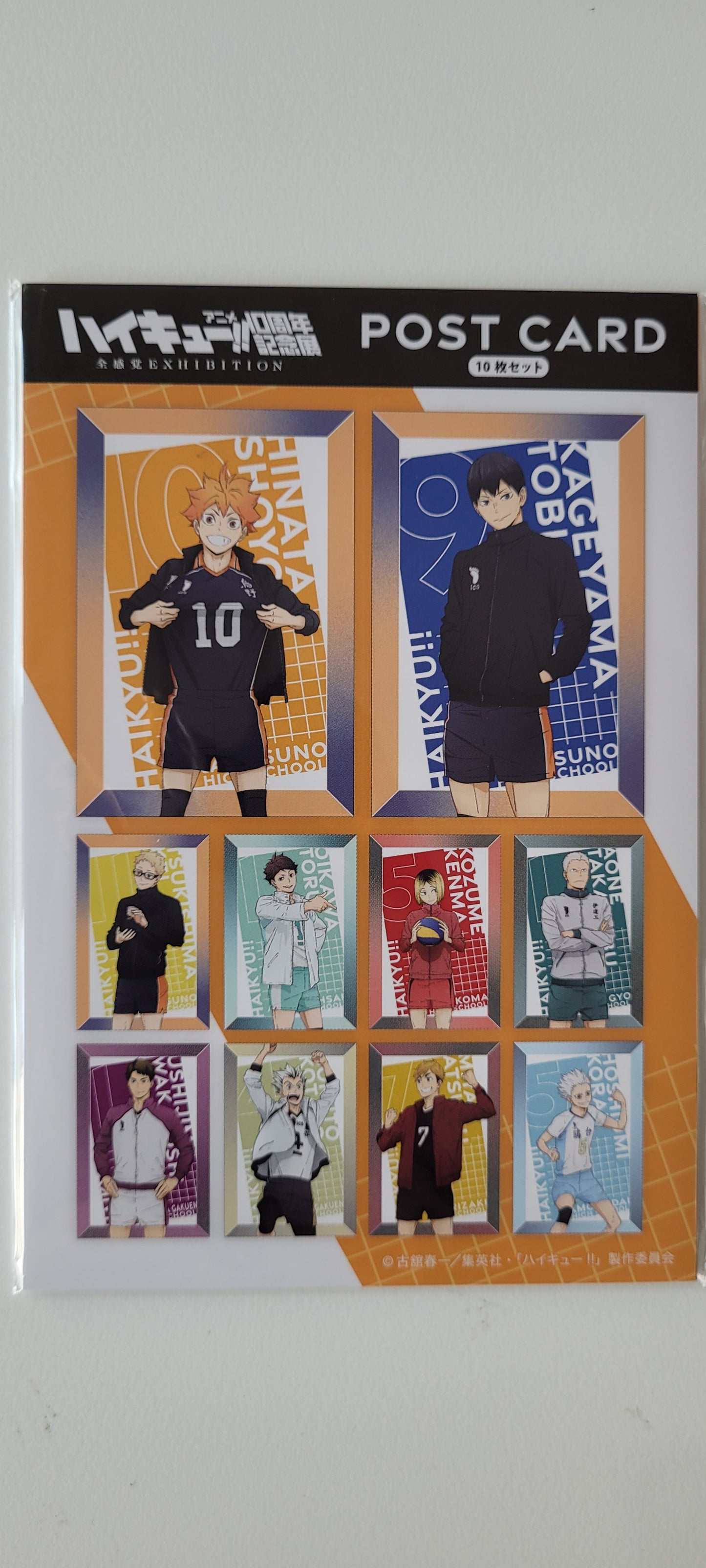 ハイキュー!!ポストカード10枚セット<10周年記念展描き下ろし> tcs post card