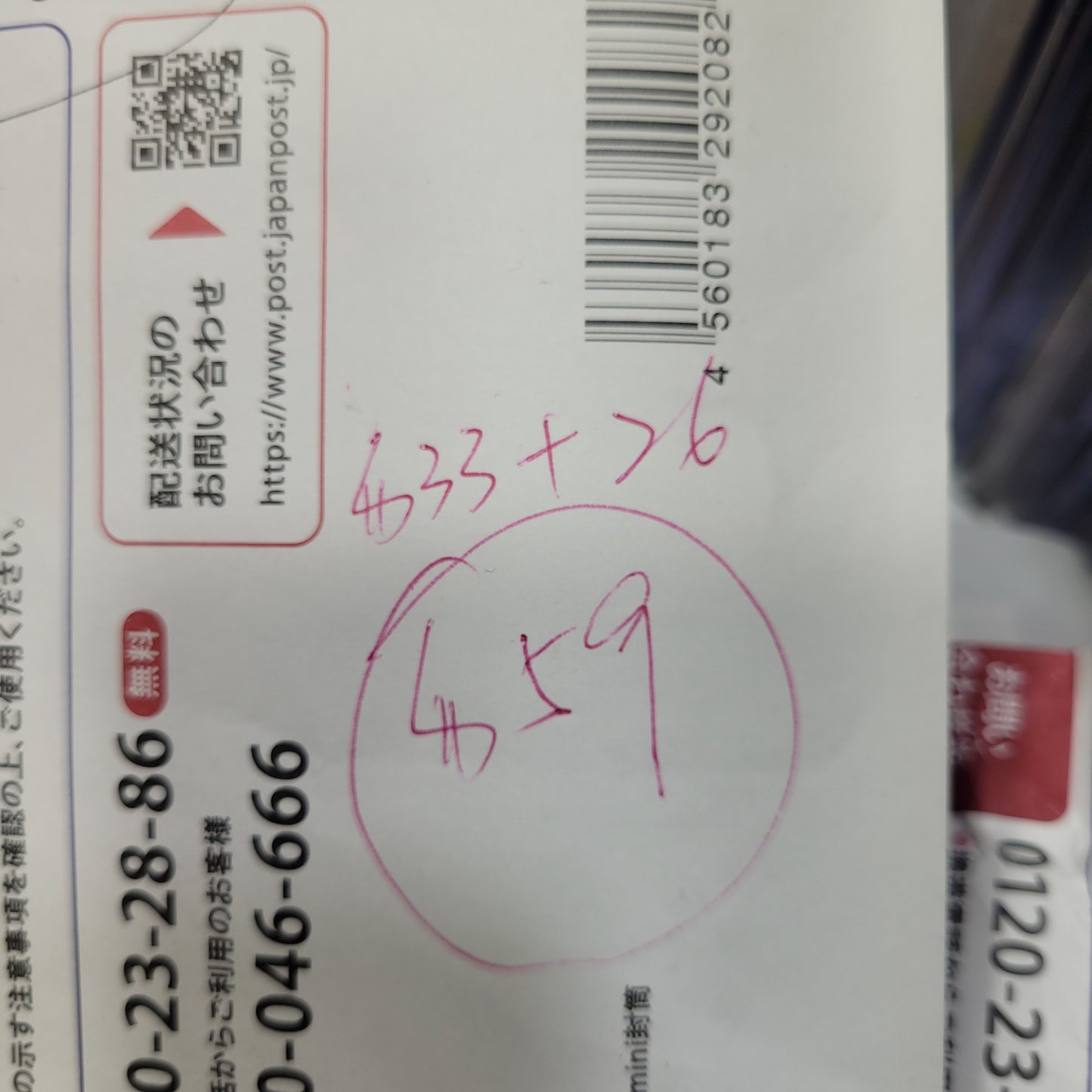 豆芽$999