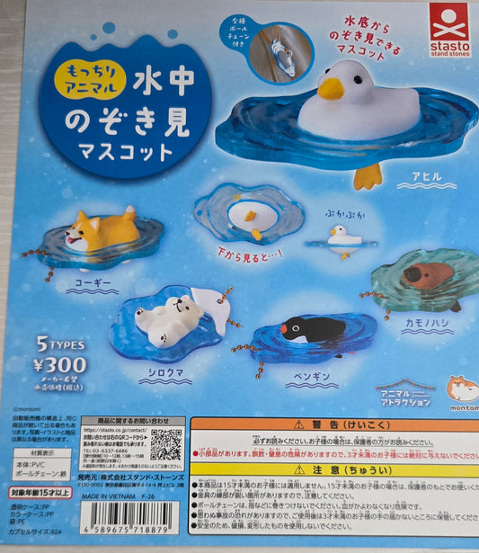 扭旦 #246 もっちりアニマル 水中のぞき見マスコット set of 5